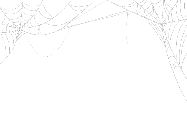 spiderweb